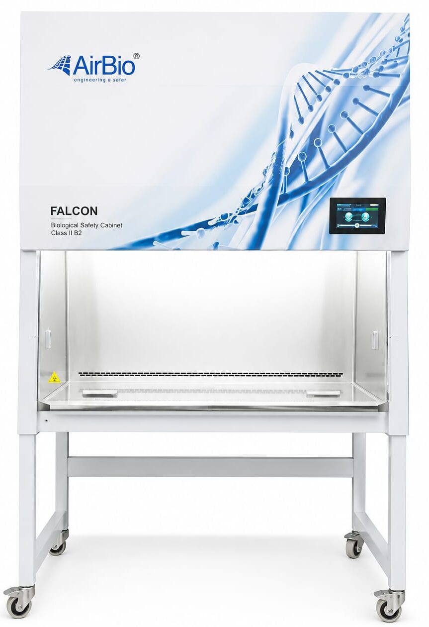 BSC falcon class II B2 Ax9a0Xgs2 e1781935244763